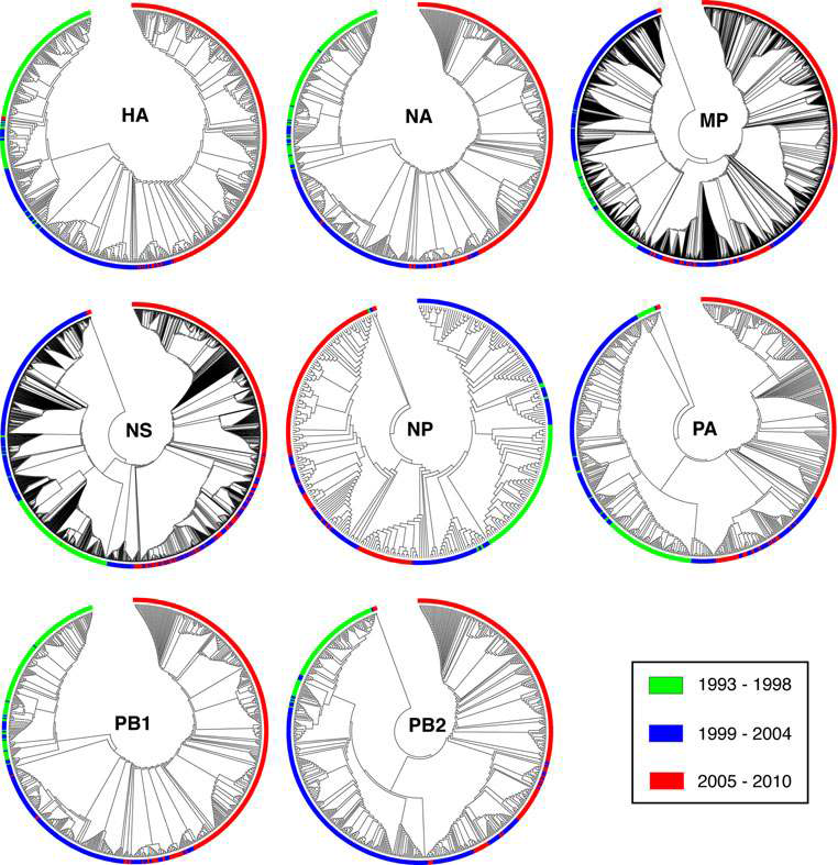 Influenza virus(A/H3N2) 8개 유전자에 대한 phylogenetic trees 결과