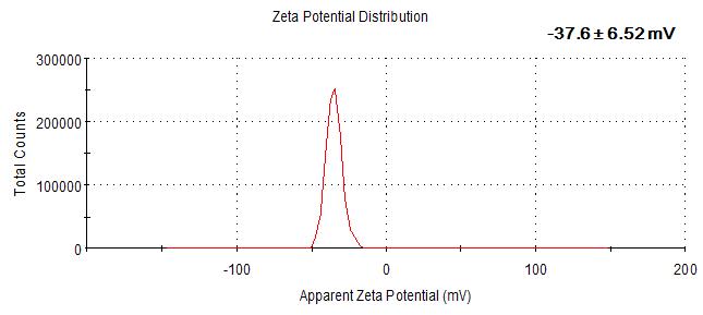 방사선 암노화 exosome의 Zeta potential 분석.