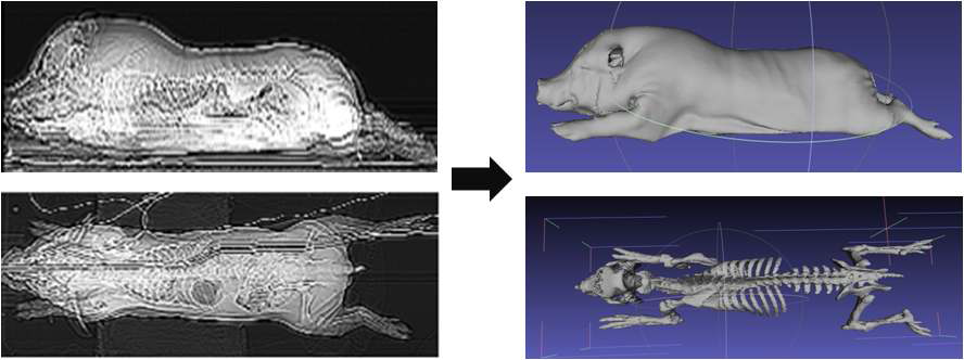 Conversion from CT images to 3D STL image data. 2D medical images were acquired from a tomograph at Ian animal diagnostic imaging center. The CT images are 2D slices saved in standardized format DICOM and those were used as the input data in this project. By performing 3D image processing, selected Hounsfield value or gray scale value of ROI(Region Of Interest) can provide 3-dimensional geometry information.