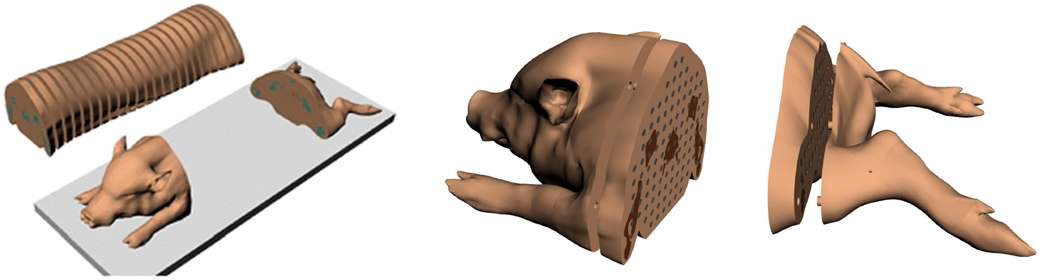 Design of mini-pig physical phantom. The mini-pig physical phantom is constructed on a slice-by-slice basis with a resolution of 2 mm, and holes for dosimeters(alanine dosimeter, glass dosimeter) were considered into slices prior to assembly. Thus the slices will be fixed together to form the complete phantom. The phantom will be used in conjunction with a complementary dosimetry system which is using two different dosimeters to measure individual organ doses.