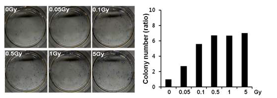 Analysis of reprogrammed colonies by AP assay. iPSC colonies were stained with alkaline phosphatase assay kit at week 3. Images of stained iPSC colonies and quantification of numbers of stained colonies.