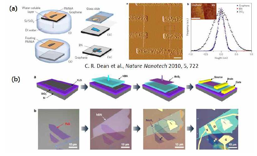 (a) h-BN 위의 그래핀 전자소자 제작 개략도와 AFM 이미지, (b) h-BN 위의 MoS2 전자소자 제작 개략도와 광학 이미지