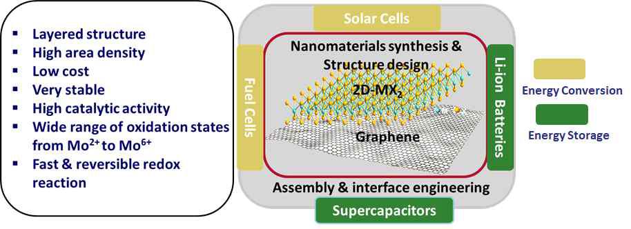 새로운 2차원 소재의 에너지 변환 및 저장 물질로서 장점.