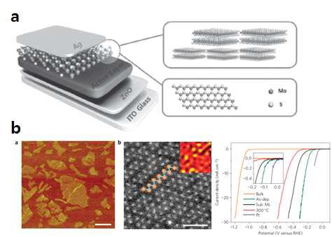 (a) Ag/MoS2/PTB7:PC71BM/ZnO/ITO 광전지, Power conversion 효율: ~8.11% (b) 1T-WS2 나노소재의 수소 촉매 특성