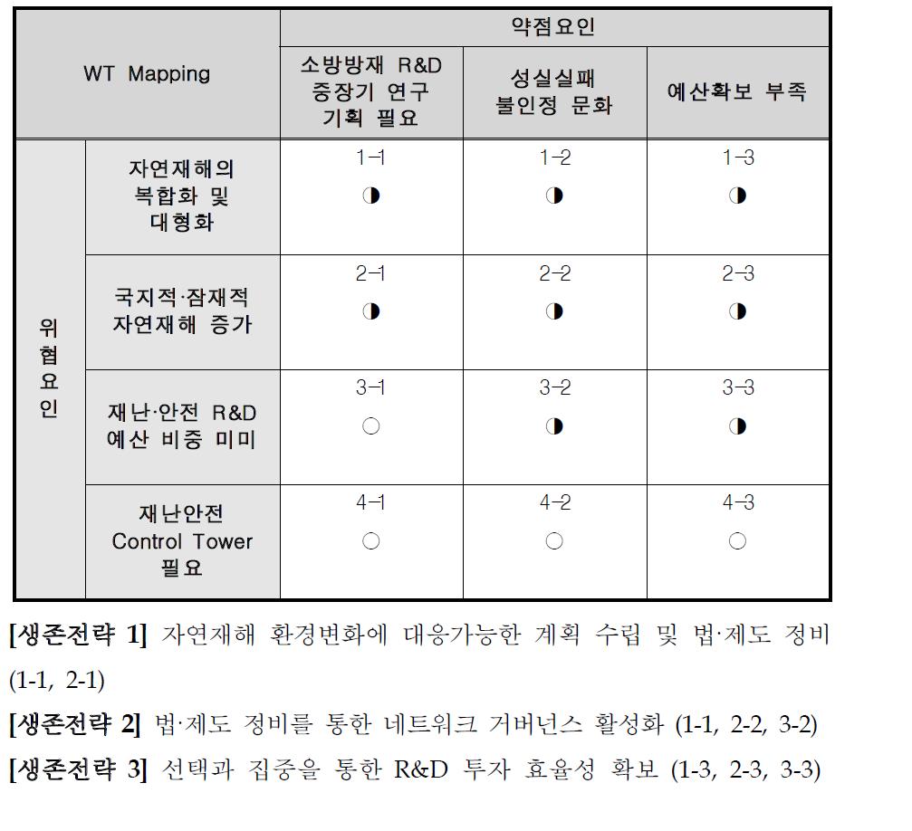 생존전략(WT전략) 분석