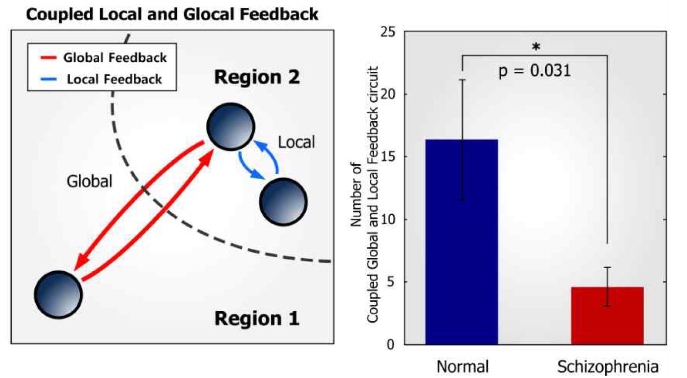 Coupled Local and Global Feedback(CLGF)