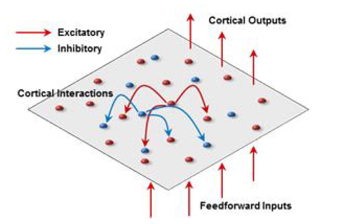 뉴런들의 상호작용을 고려한 신경망 모델
