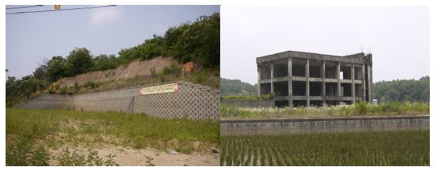 안성시 일대의 개발이 중단된 나대지 (2014.6.10. 촬영)