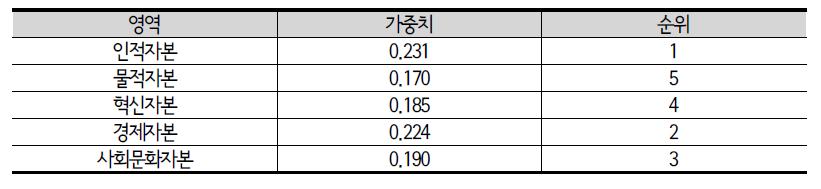 지역 회복력 진단지수의 세부영역별 종합가중치