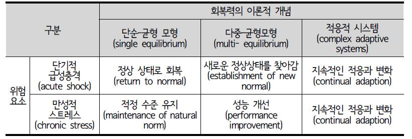 위험요소와 회복력의 이론적 개념