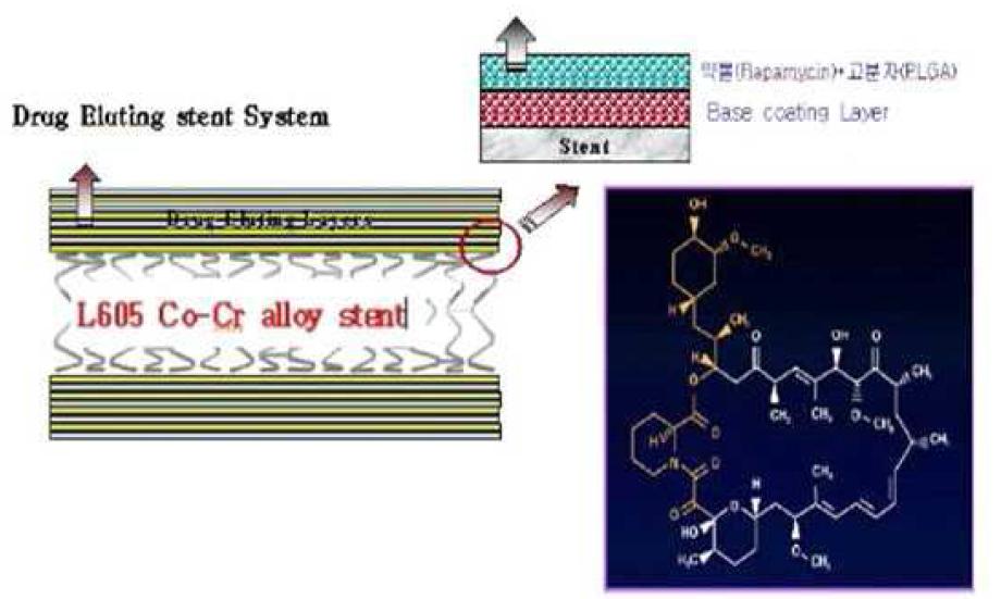 스텐트 약물방출 Coating layer 모식도