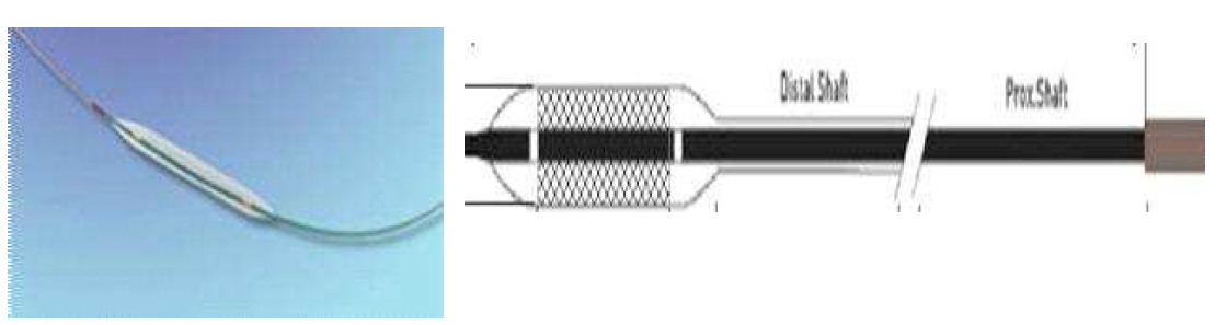 Stent Delivery System