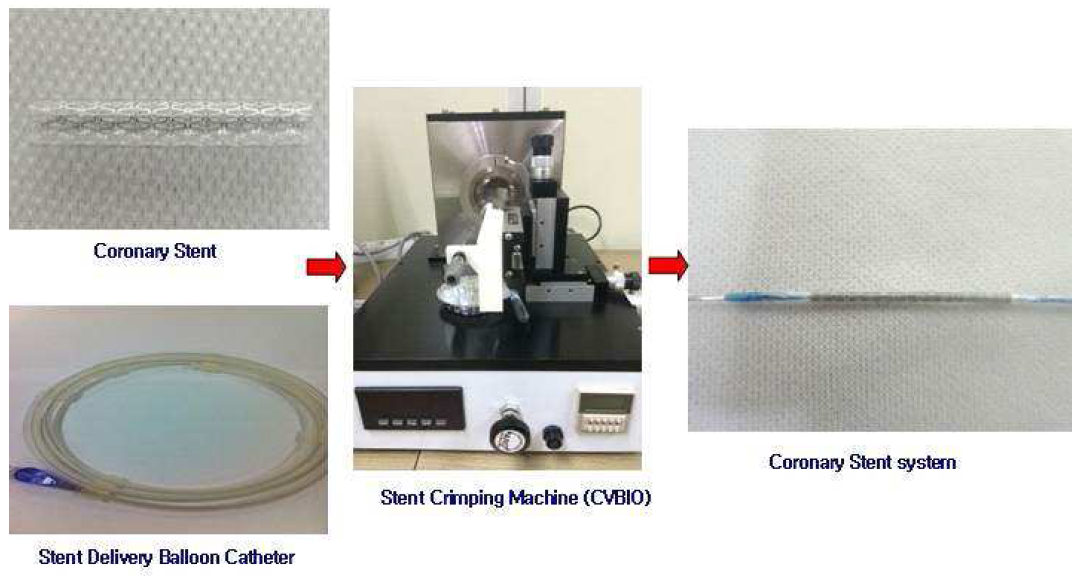 CVBIO Drug Eluting stent system 제조