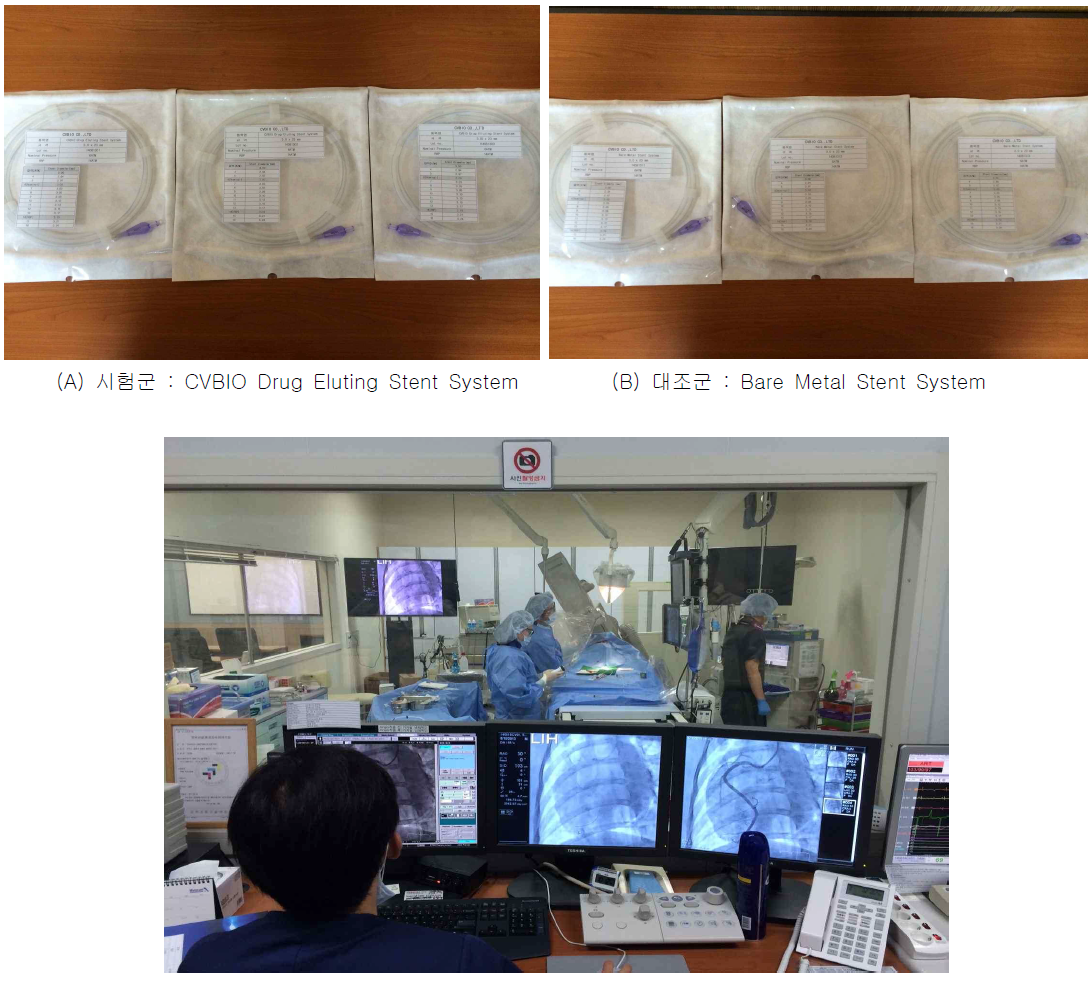 전임상 혈관조􀅆 시술