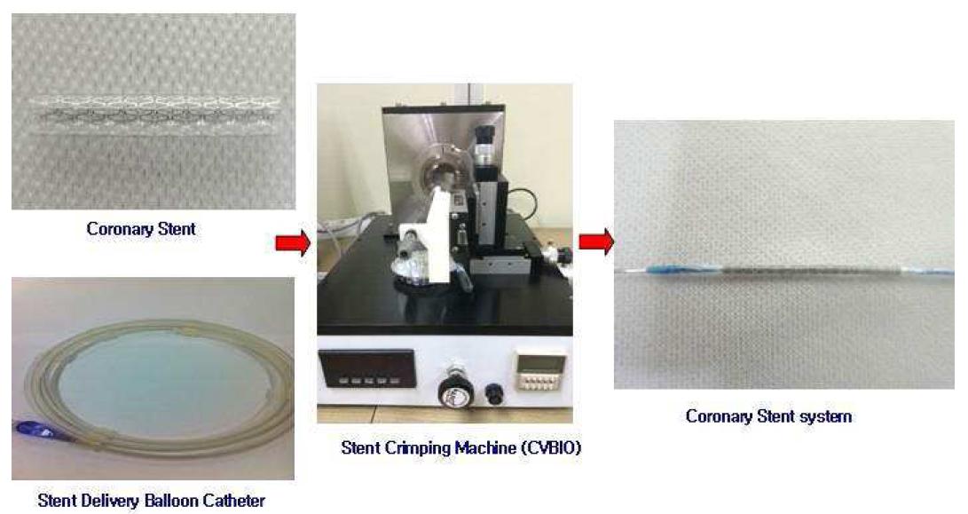 CVBIO Drug Eluting stent system 제조