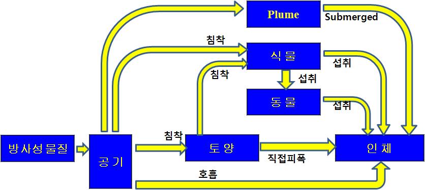 Flow chart of dose procedures.