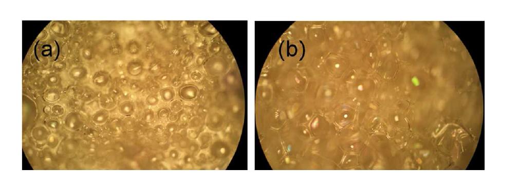 HMAQ-018 폴리우레탄 폼의 광학현미경 사진(×100): (a) 폼의 외피부분, (b) 폼의 내부부분.
