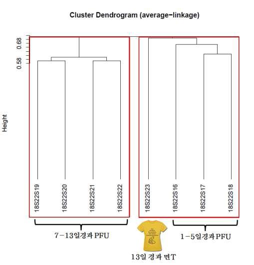 Dendrogram: 해수에서 시간에 따른 PFU 샘플과 면T 샘플의 클러스터링