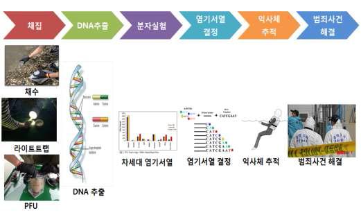 연구개발수행 workflow