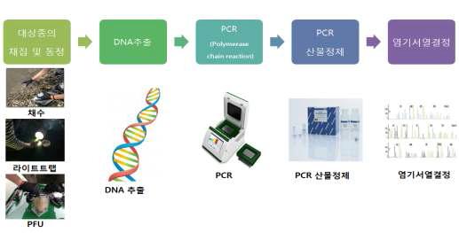 유전자 염기서열 확보 과정의 개요도