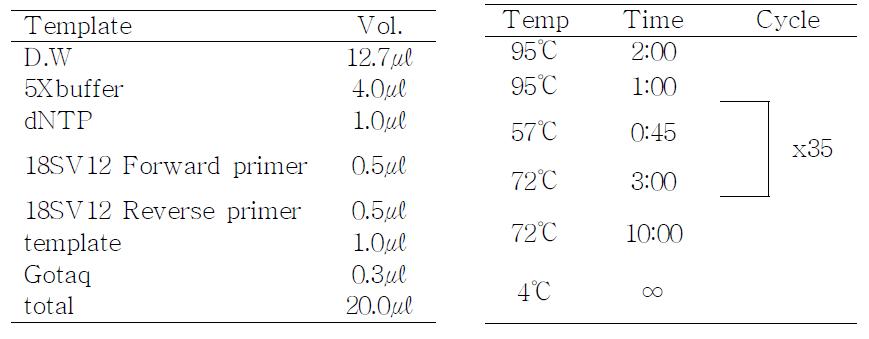 18SV12 PCR 반응액 조성 및 PCR condition