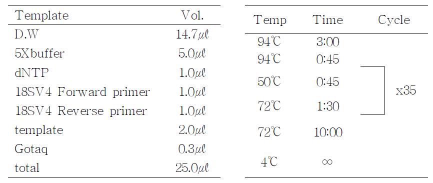 18SV4 PCR 반응액 조성 및 PCR condition