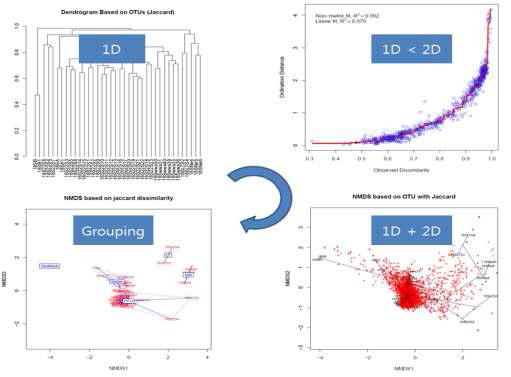 클러스터링: 1 Dimension에서의 tree와 2 Dimension의 NMDS plot을 구성하고 그룹핑하여 샘플간의 관계를 정확히 해석