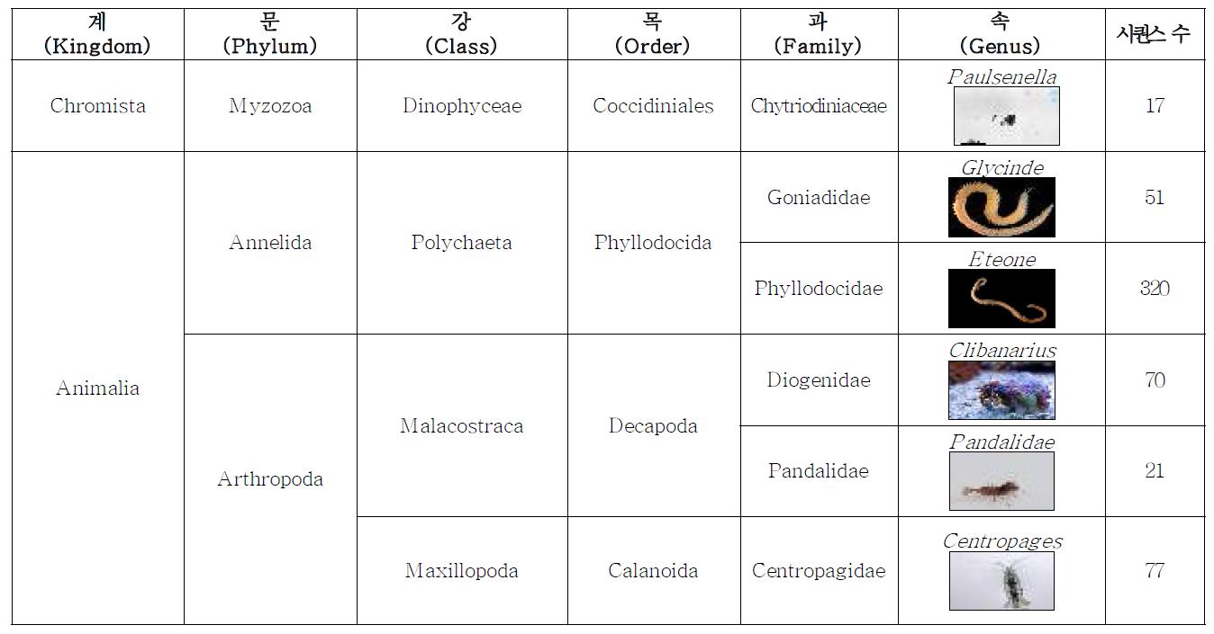 갯벌샘플에서 (인천항주변)의 탐지된 미소생물 목록