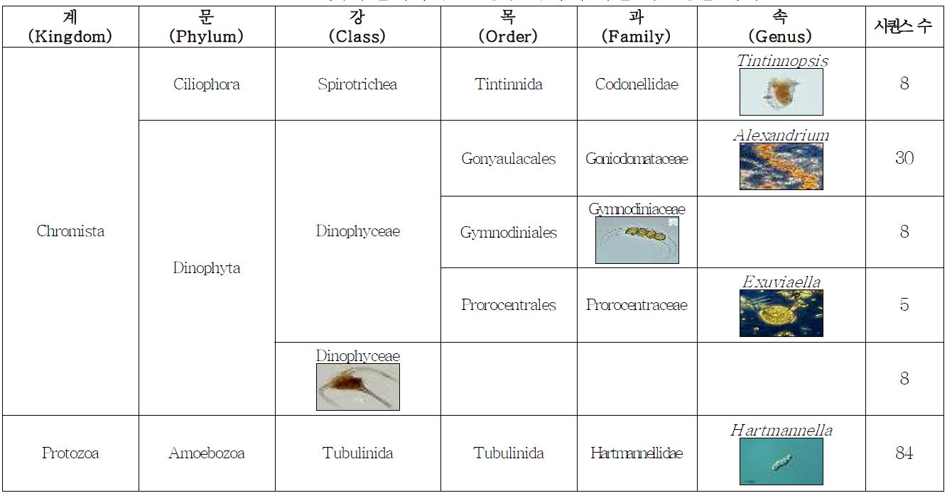 채수샘플에서 (인천항주변)의 탐지된 미소생물 목록
