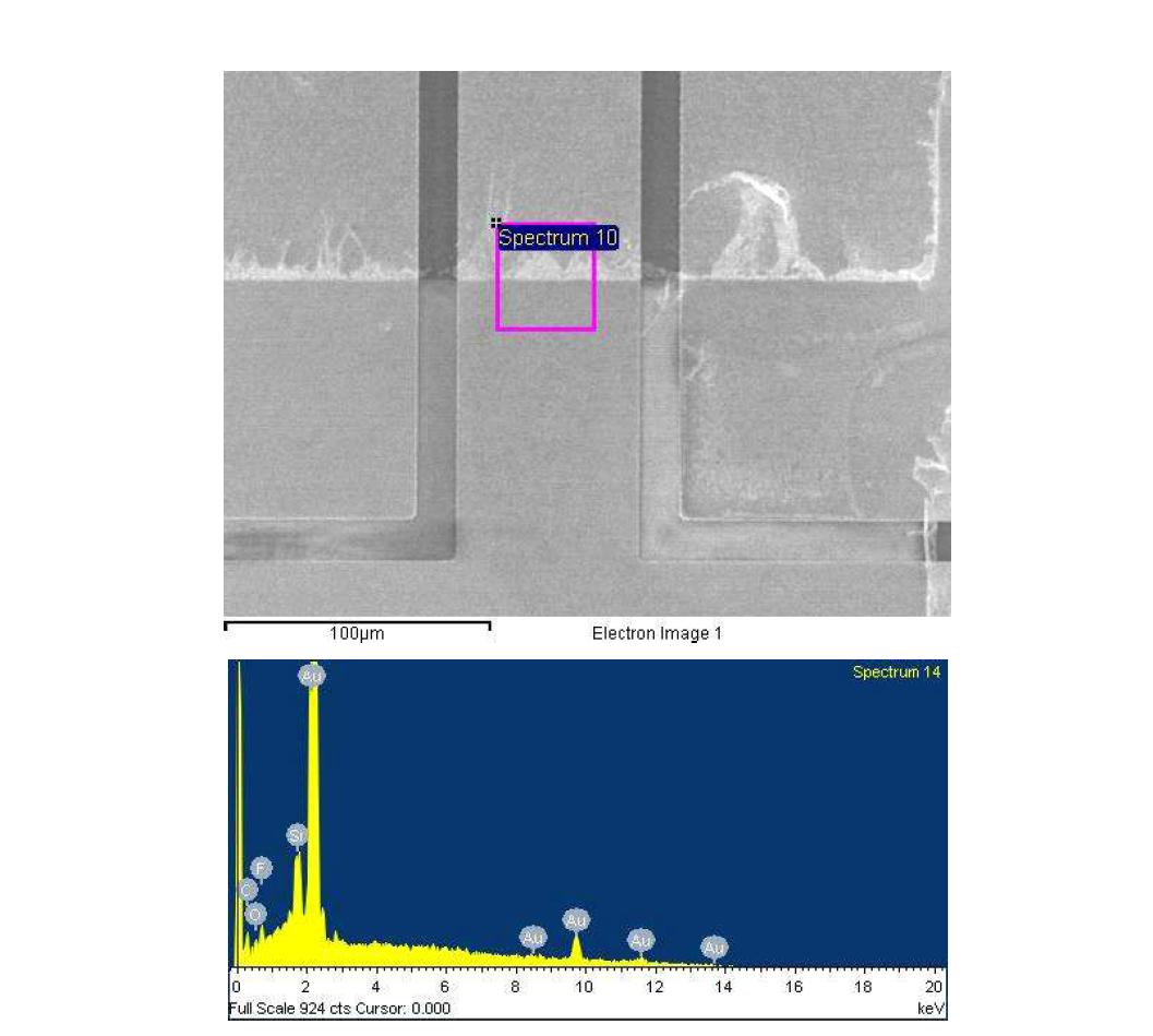 전자주사 현미경(SEM)과 원소 분석기(EDX)를 이용한 잔류물의 스팩트럼 분석 결과