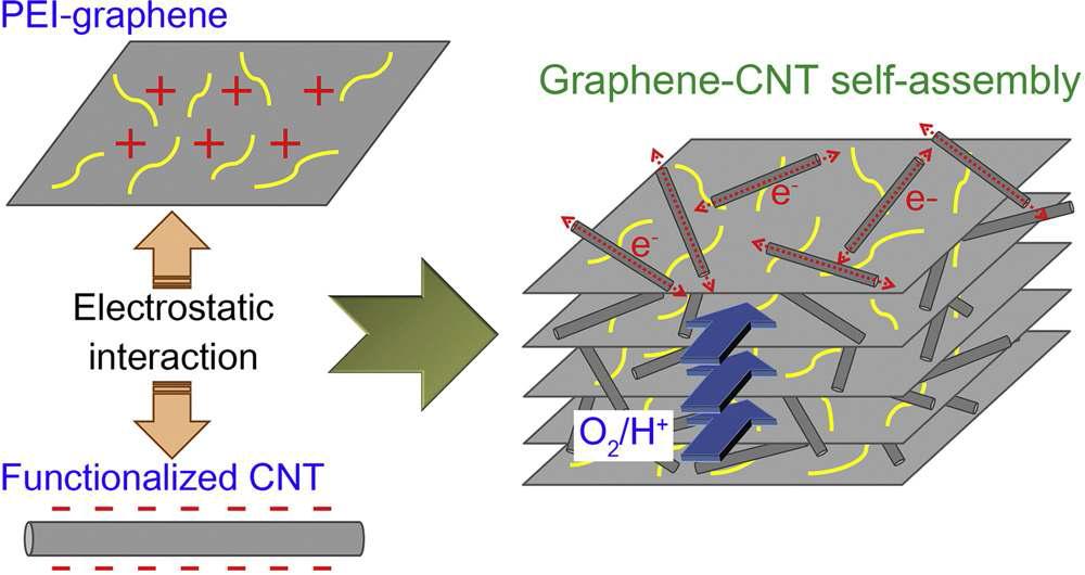 Scheme of synthesis strategy and structure of graphene/CNT self-assembly catalyst