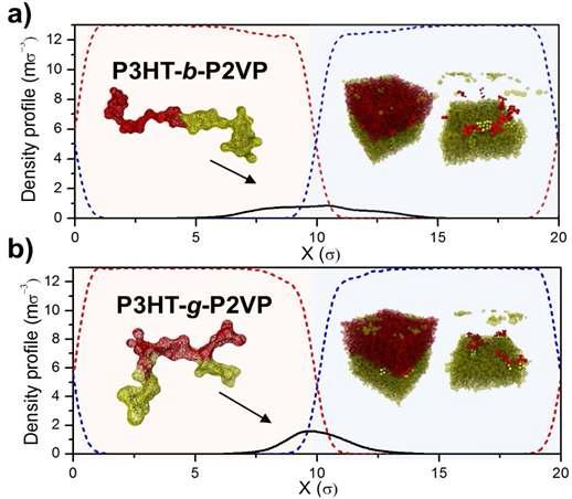 CGBS molecular dynamics simulation