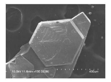 합성된 신물질의 전자 현미경 이미지