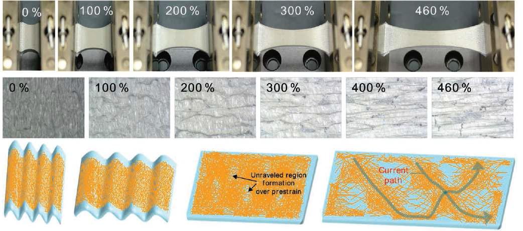 Preceding research on stretchable electrode using network of Ag nanowire AgNW