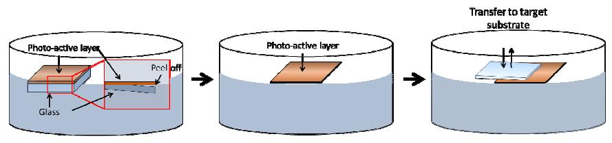 Water-assisted wedging transfer method for organic photo-active layer