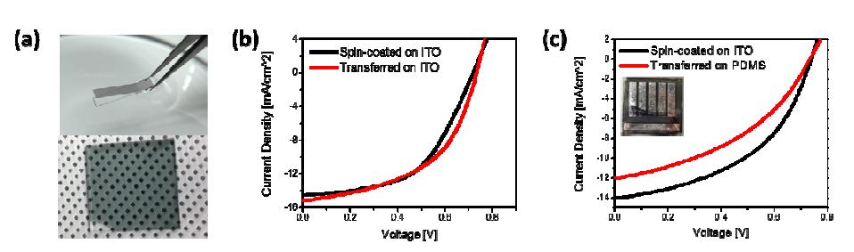 Performance of OPV fabricated by organic thin film transfer method