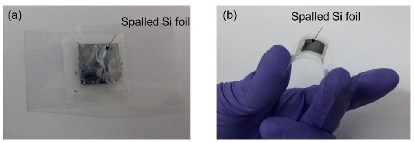 Photogragraphs for the spalled Si foil transferred onto a flexible plastic substrate.