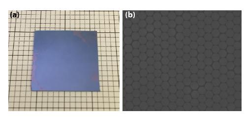 The 2 x 2 cm2 silicon wafer coveredwith the PS monolayer and (b) The SEM image of well-ordered polystyrene particle by nano sphere lithography