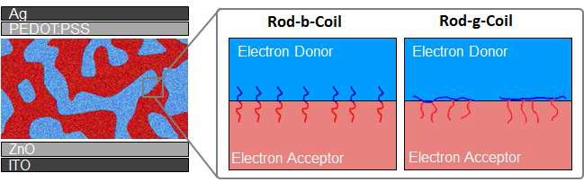 Rod-g-coil 공중합체과 Rod-b-coil 공중합체의 유기태양전지 적용 모식도