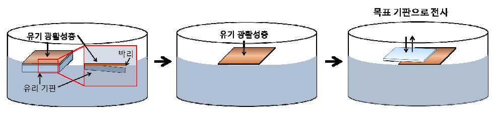 유기 광활성층 전사를 위한 Water-assisted Wedging 전사 기법