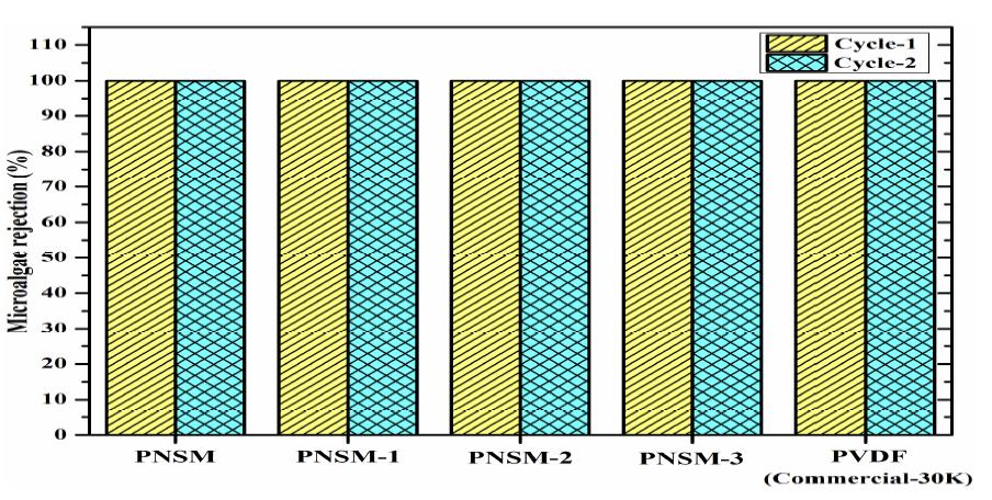 Microalgae retention by the mixed matrix PVDF membranes with in situ