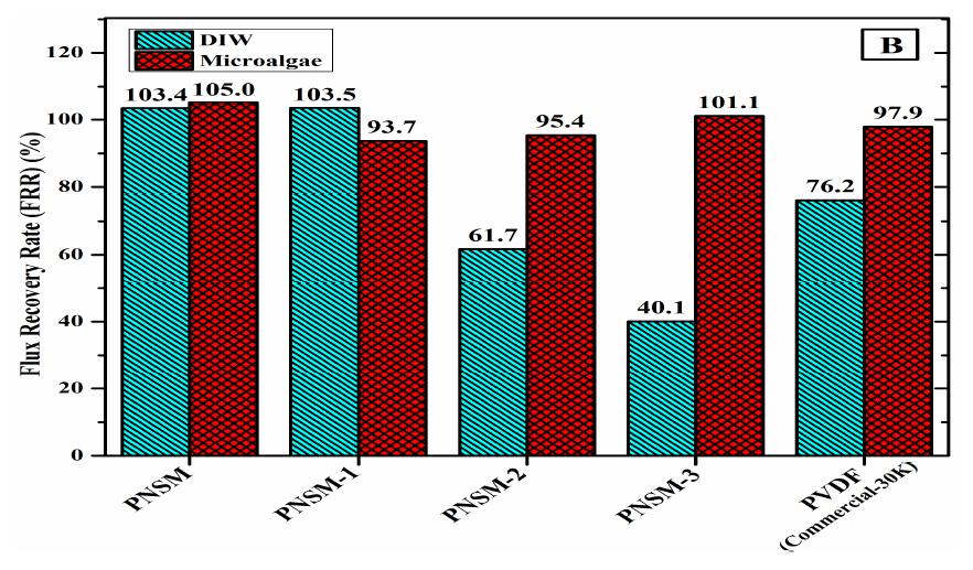 Water and microalgae flux recovery rates following a simulated membrane cleaning for 1 hour using DIW