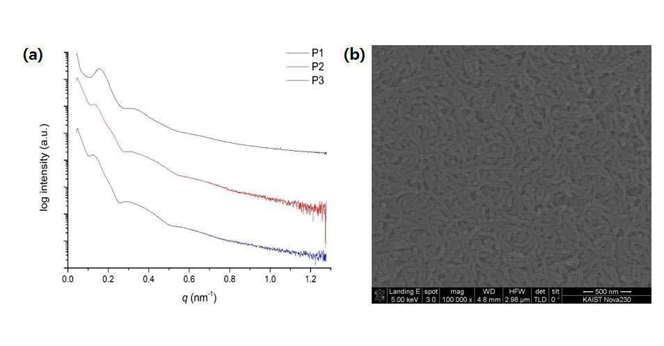 (a) SAXS pattern of nanoporous PES. (b) SEM image of the nanoporous PES