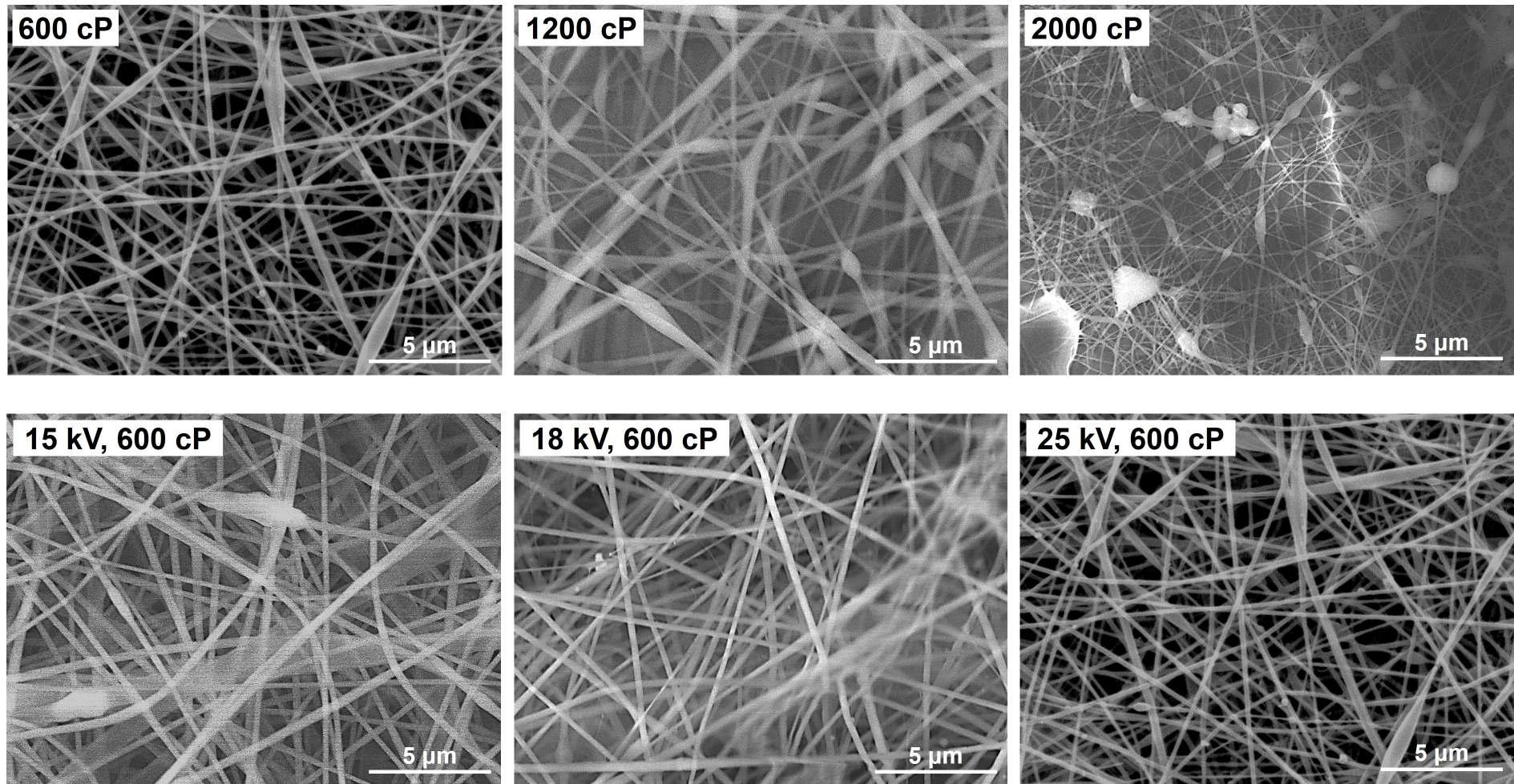 The morphology change of starch/PVA fiber felt according to viscosity and applied voltage.