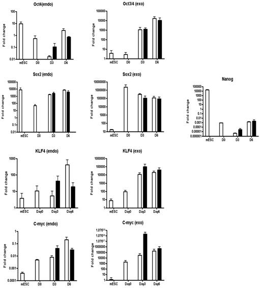 교차분화 초기단계의 RNA 발현양상 (pluripotency marker)