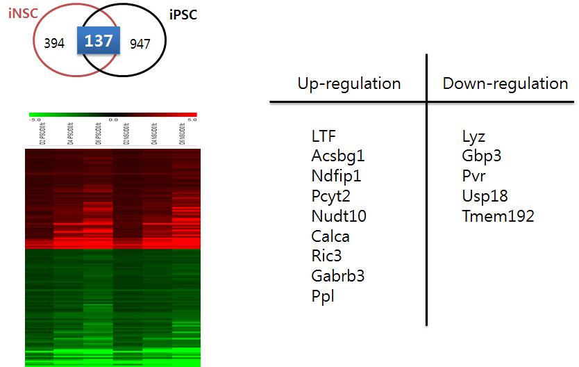 iPSC와 iNSC에서 공통적으로 변화량이 큰 유전자들의 선별
