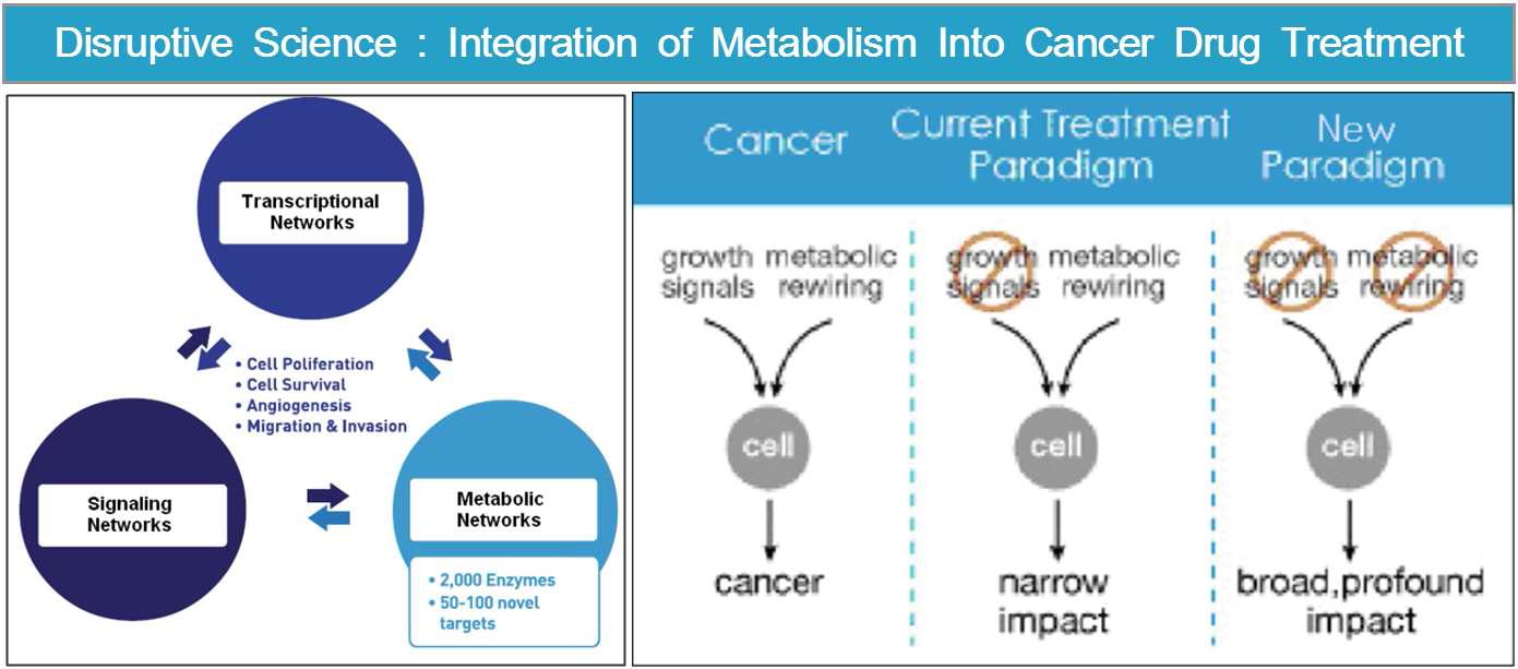 암 치료에 있어서 새로운 표적으로써의 대사작용 조절에 관한 개념