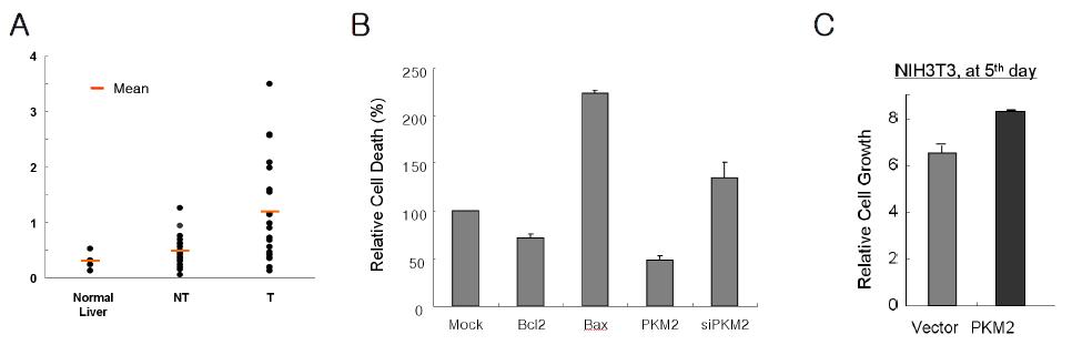 A) Normal, non-tumor, tumor 조직에서 PKM2의 발현, B) PKM2 과발현 또는 knpck-down에 의한 세포사멸 측정, C) PKM2 과발현에 의한 NIH/3T3 세포주 성장 측정 (5일간 배양 후 측정)