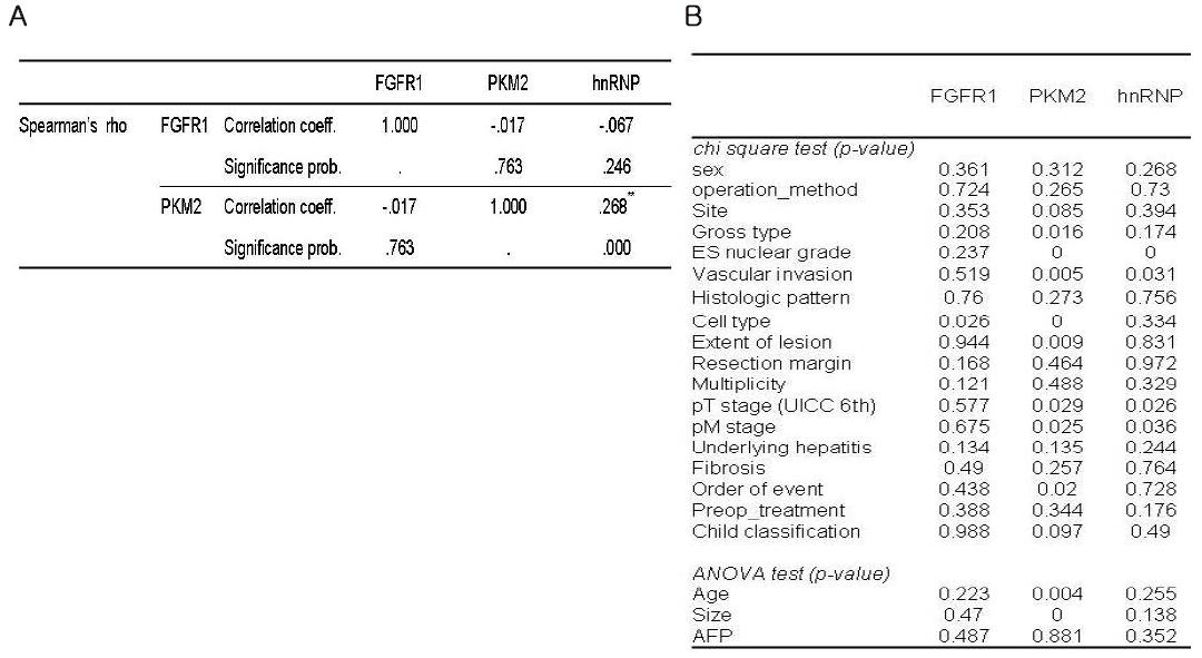 간암 환자조직에서 PKM2 및 PKM2 관련 유전자 FGFR1 및 hnRNP들의 단백질 발현 (A) 및 임상병리학적 (B) 연관성 조사