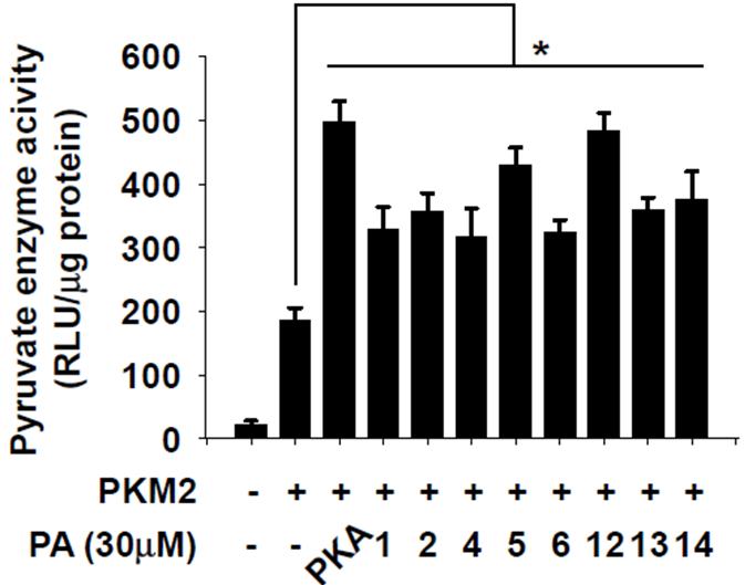 PKM2 활성 조절 물질 검증. PKM2 효소 활성 검증에 의한 유의적 PKM2 활성 조절 물질 선별